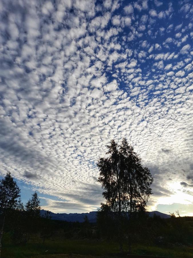 Villa Breza Žabljak Dış mekan fotoğraf