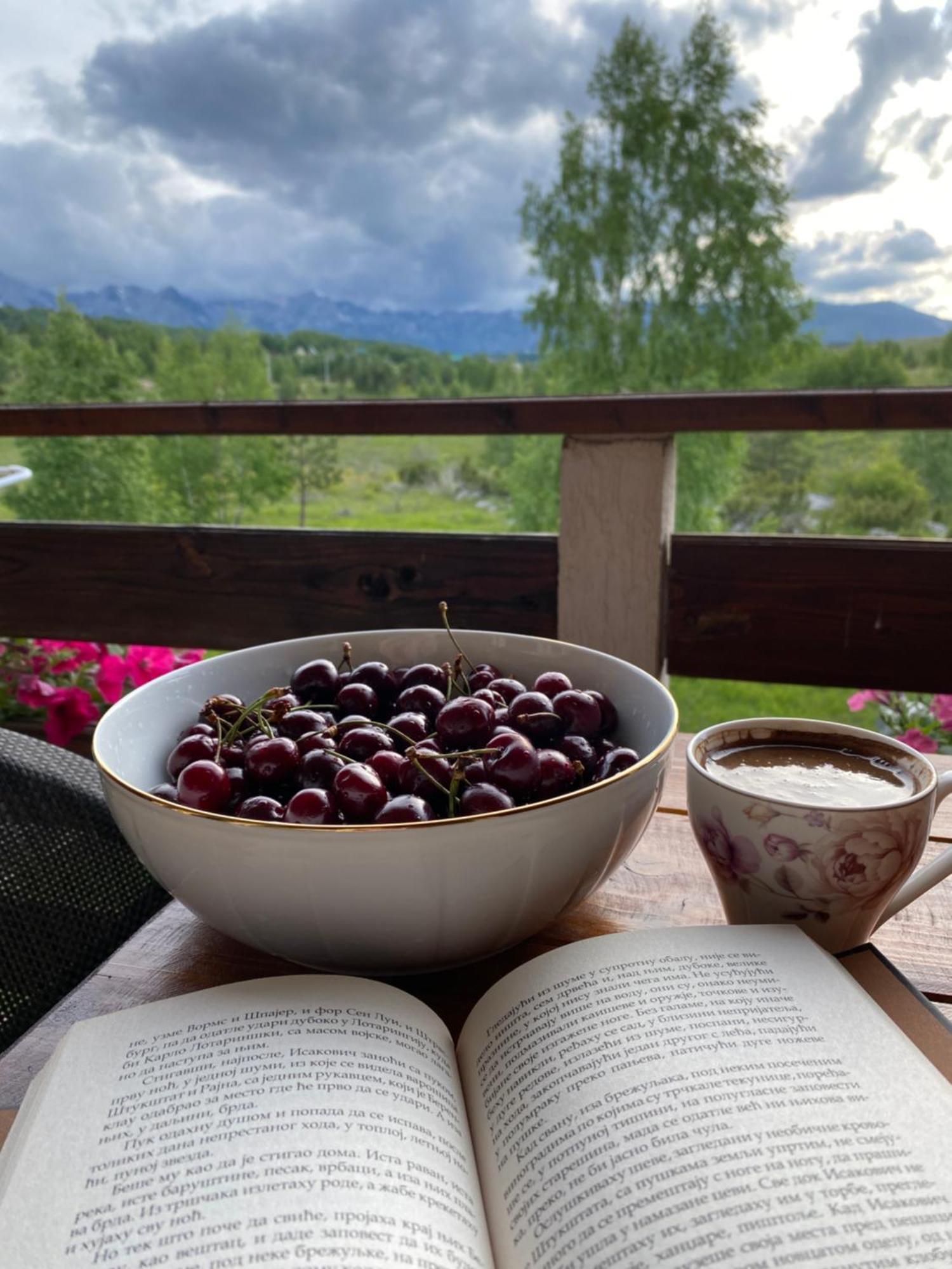 Villa Breza Žabljak Dış mekan fotoğraf